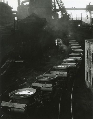 'Hot Pigs' ~ Silver print ~ 8x10 inches