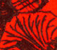 Detail from 'Orange/Black #1'